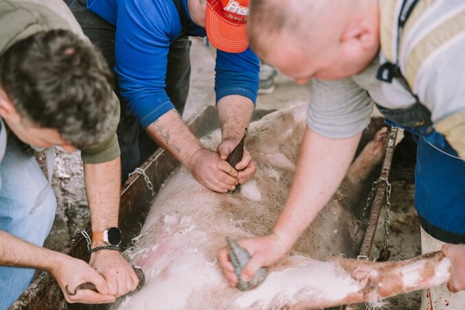 Hagyományos disznóvágás