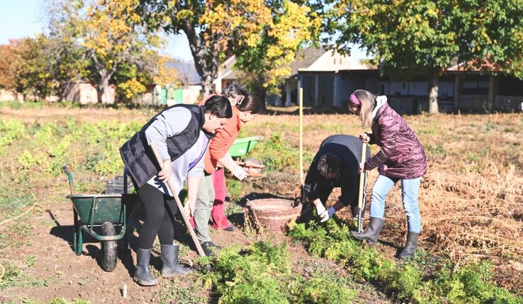 A program második részét a répa és a zöldségek felszedésével kezdték