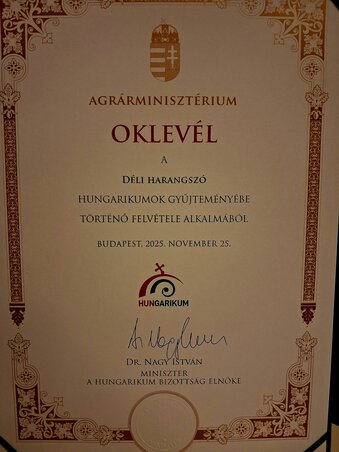 Az elismerő oklevél