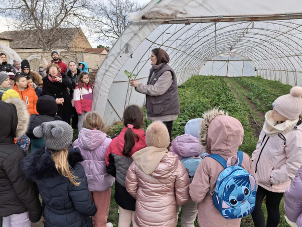 Természetóra testközelből