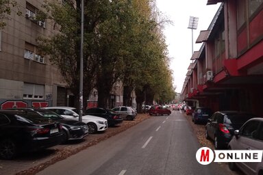 A fásításról szóló történet nem más, mint a számadatok különböző irányokból megvilágítása, kidomborítása vagy elhallgatása (Fotó: Szeli Balázs felvétele)