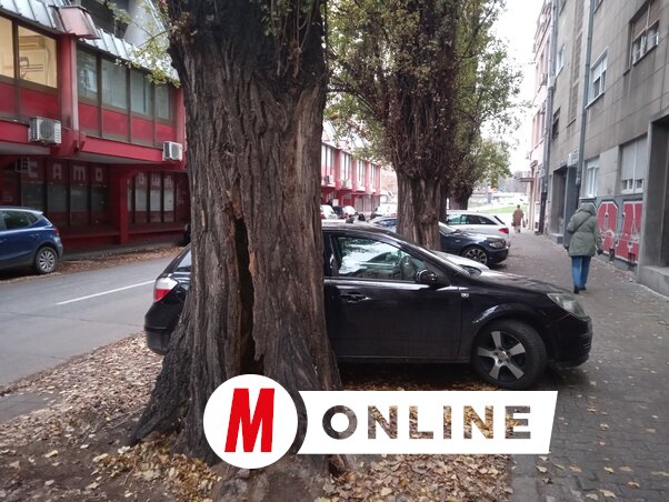 Szeli Balázs felvétele