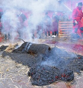 Hagyományos disznópörköléssel indult a nap (Gergely Árpád felvétele)