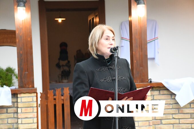 Csibi Krisztina országgyűlési képviselő