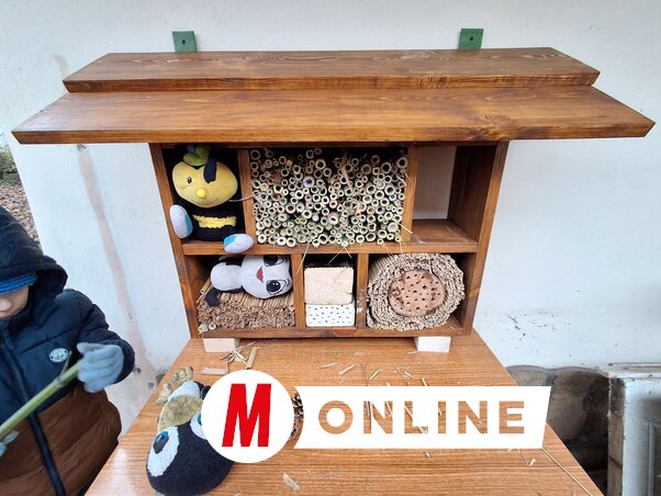 Rovarhotel is készült (Fotó: Tóth Péter felvétele)