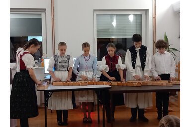 A Vajdasági Magyar Népművészeti és Közművelődési Központ Pörgető citerazenekara (Fotó: Petőfi Sándor MMK)