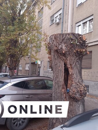 Szeli Balázs felvétele