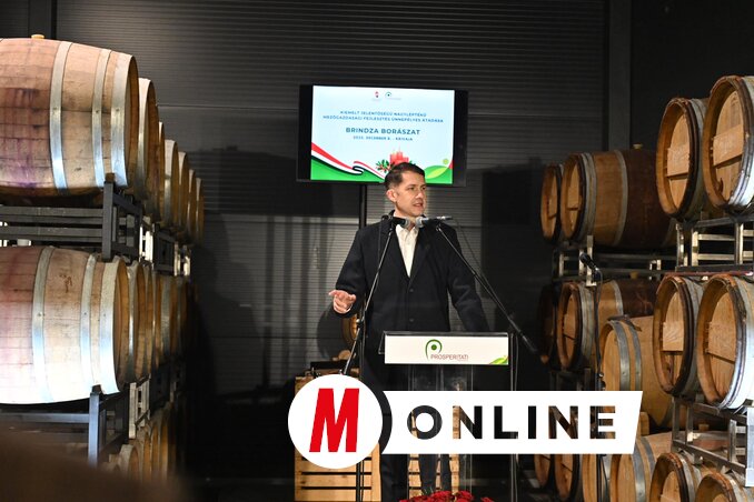 A borászat a legszemléletesebben mutatja, hogy miről szólt a gazdaságfejlesztési projekt első tíz éve – emelte ki dr. Pásztor Bálint (Fotó: Ótos András felvétele)