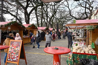 Fotó: Molnár Edvárd