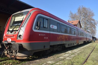 Vidács Hajnalka illusztrációja