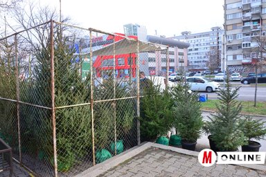 Szeli Balázs felvétele