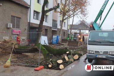 A helyszínen készültek a képek (Kiss Zoltán felvétele)