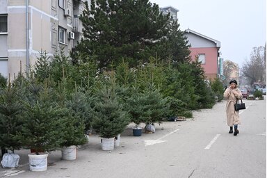 Fotó: Molnár Edvárd