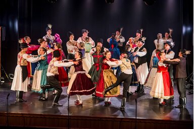 Az Ifjúsági Táncegyüttes a szakmai minősítést adó Néptáncosok Területi Bemutató Színpadán is lenyűgözték a közönséget/Fotó: Sörfőző Kornél