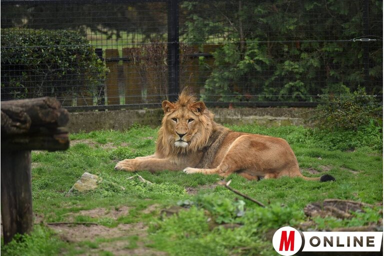 Molnár Edvárd felvétele