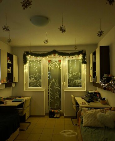 Hangulatos karácsonyi kuckó/Fotó: Molnár Csikós Krisztián