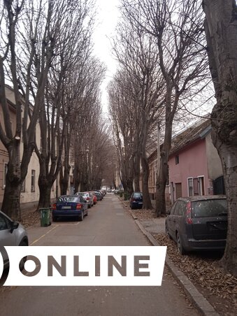 Szeli Balázs felvétele