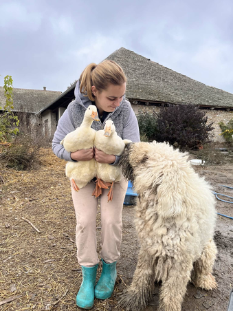 Libuskás kerti harmónia