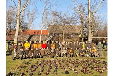 Több, mint 150 fácán került terítékre (Fotó: VMVT)