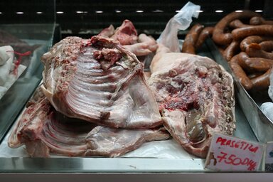 Fotó: Molnár Edvárd