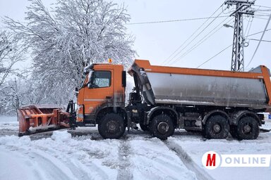 Bevetésen a hóekék Szenttamáson (Paraczky László felvétele)