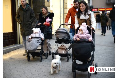 Szerbia polgárai számára az új év új lehetőségekkel, kihívásokkal indul (Fotó: Dávid Csilla felvétele)