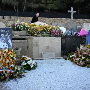 Fia, a 65 éves Nicolas-Jacques Charrier egy mimózavirágokból álló koszorút helyezett el a koporsónál, amelynek egyetlen felirata ez volt: Anyának (Fotó: Beta/AP)