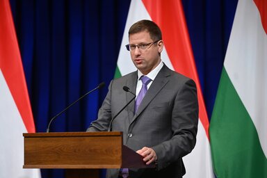 Gulyás Gergely (Fotó: MTI)