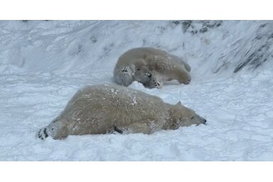 Képernyőkép/Facebook