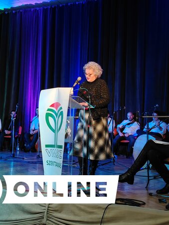 A Jovan Jovanović Zmaj Általános Iskola elmúlt évi tevékenységét Munjin Szokola Erika ismertette (Paraczky László felvétele)