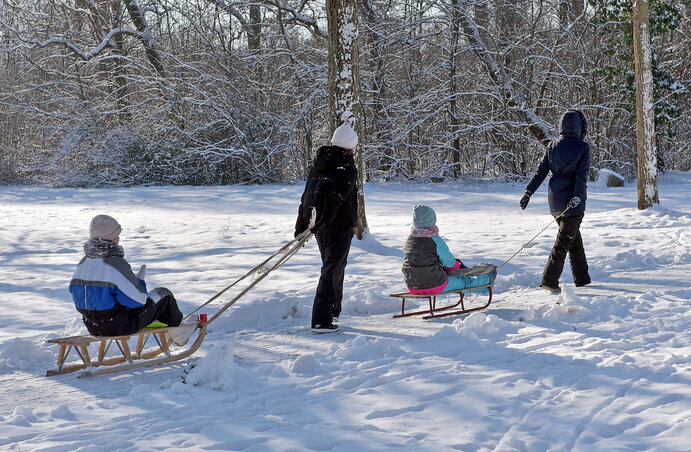 Siklik a szánkó a letaposott havon / Fotó: Gergely Árpád