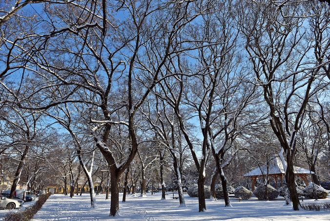 A hó mindent megszépít