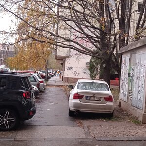 Télen is nyáron is… „Pókkezelő” legyen a talpán, aki innen kiemeli, és leszoktatja szomszédunkat a közterület bitorlásáról / Fotó: Szeli Balázs