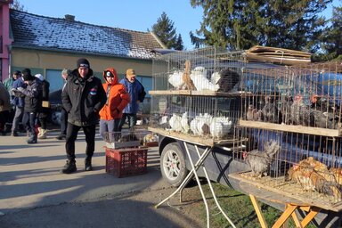 Szentmihály egyik legnagyobb rendezvénye (Kecskés István felvétele)