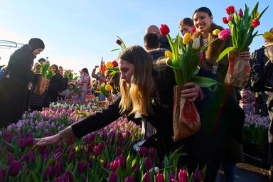 Beta/AP Photo/Peter Dejong