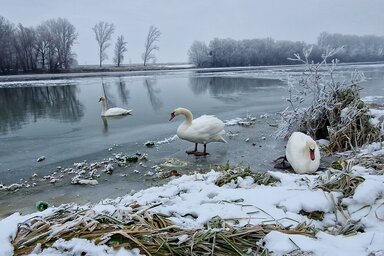 Gergely József felvétele