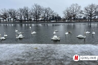 Nagykikinda új látványossággal gazdagodott (Fotó: Vidács Hajnalka)
