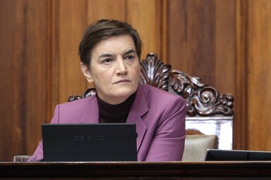 A házelnök szerint több európai parlamenti képviselő bocsánatot is kért a delegáció egy részének fellépése miatt (Fotó: Beta)