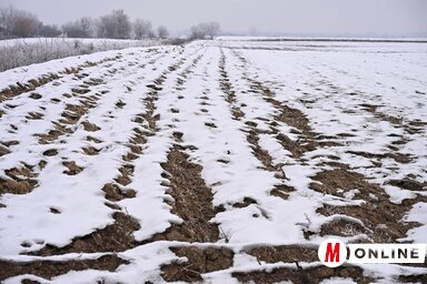 Fotó: Molnár Edvárd