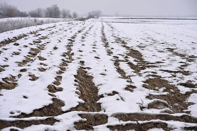 Fotó: Molnár Edvárd