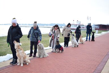 A kutya nevelése a gazdi és az eb számára közös fejlődési folyamat / Fotó: Bártol Brigitta