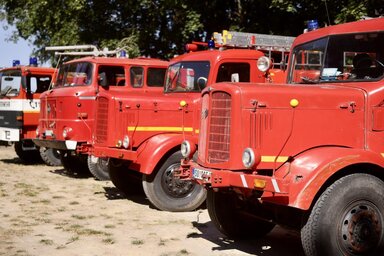 (Fotó: Dr. Pásztor Bálint/Facebook)