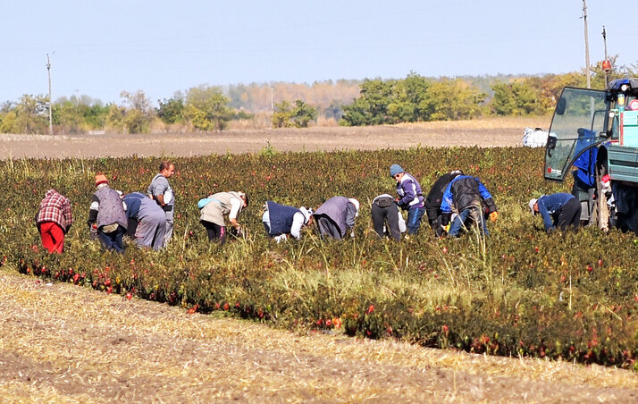 Az elvállalt munkát rendesen el kell végezni – illusztráció (Gergely Árpád felvétele)