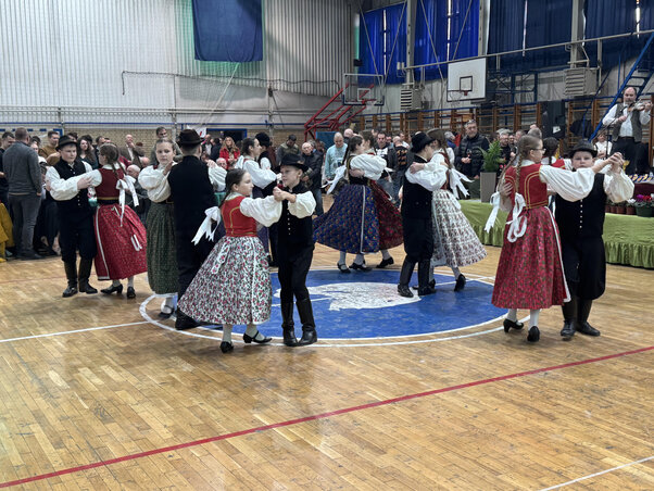 Néptáncosok tették teljessé a programot Temerinben