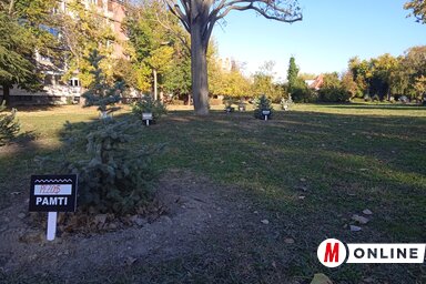 A városi urbanisták pravoszláv emléktemplomot terveznek a szóban forgó, jelenleg üresen álló zöldfelületre (Fotó: Szeli Balázs felvétele)