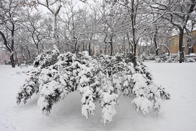 Fotó: Molnár Edvárd