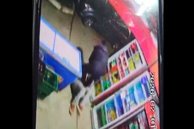 A polgármester és az eladó is megsérült az incidensben (Fotó: Screenshot/Instagram/Niš TV)