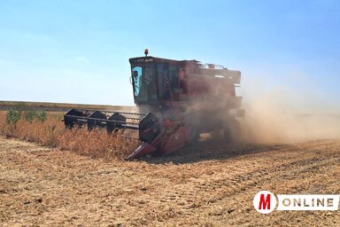Sokat veszített népszerűségéből a szója az utóbbi években (Fotó: Paraczky László)