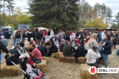 A GastroFest nevű gasztronómiai fesztiválnak évek óta az Erdőtelepítők parkja ad otthont (Fotó: Kancsár Izabella/Archívum)