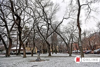 A zentai városi park napjainkban (Gergely Árpád felvétele)